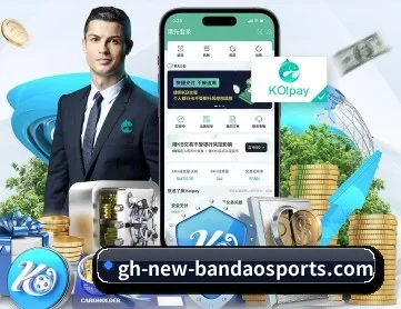 半岛体育 APP 深度功能
