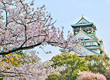半岛体育-田联美澳泳协均发声 “金牌大户”施压东京奥运延期